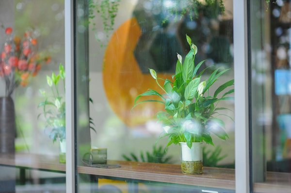 Top applications pour des prêts rapides et faciles