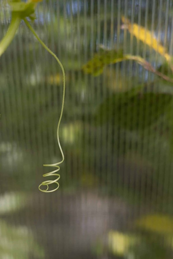 Comment s'adapter aux changements rapides du marché du travail en tant que spécialiste en analyse prédictive ?